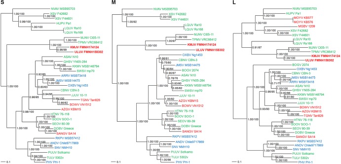 FIG 2