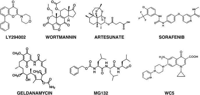 Fig. 6