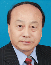 graphic file with name ADVS-10-2204875-g016.gif