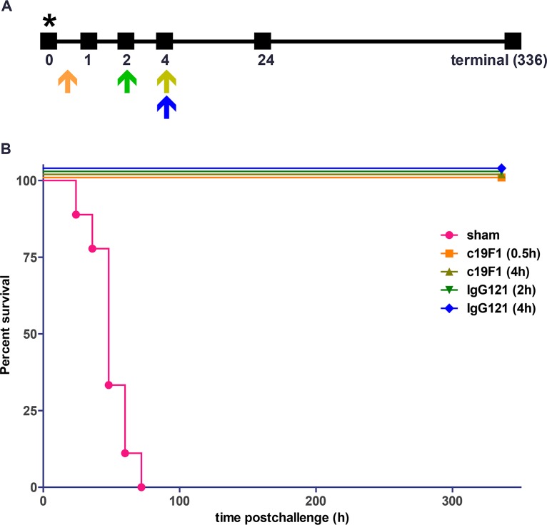 FIG 3