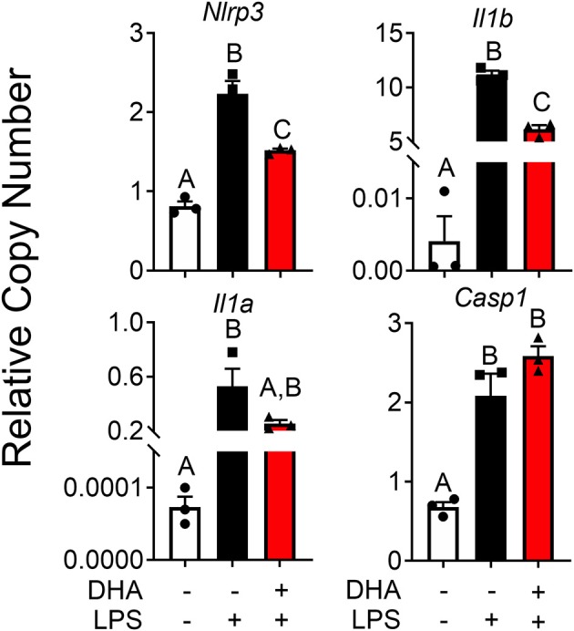 Figure 11