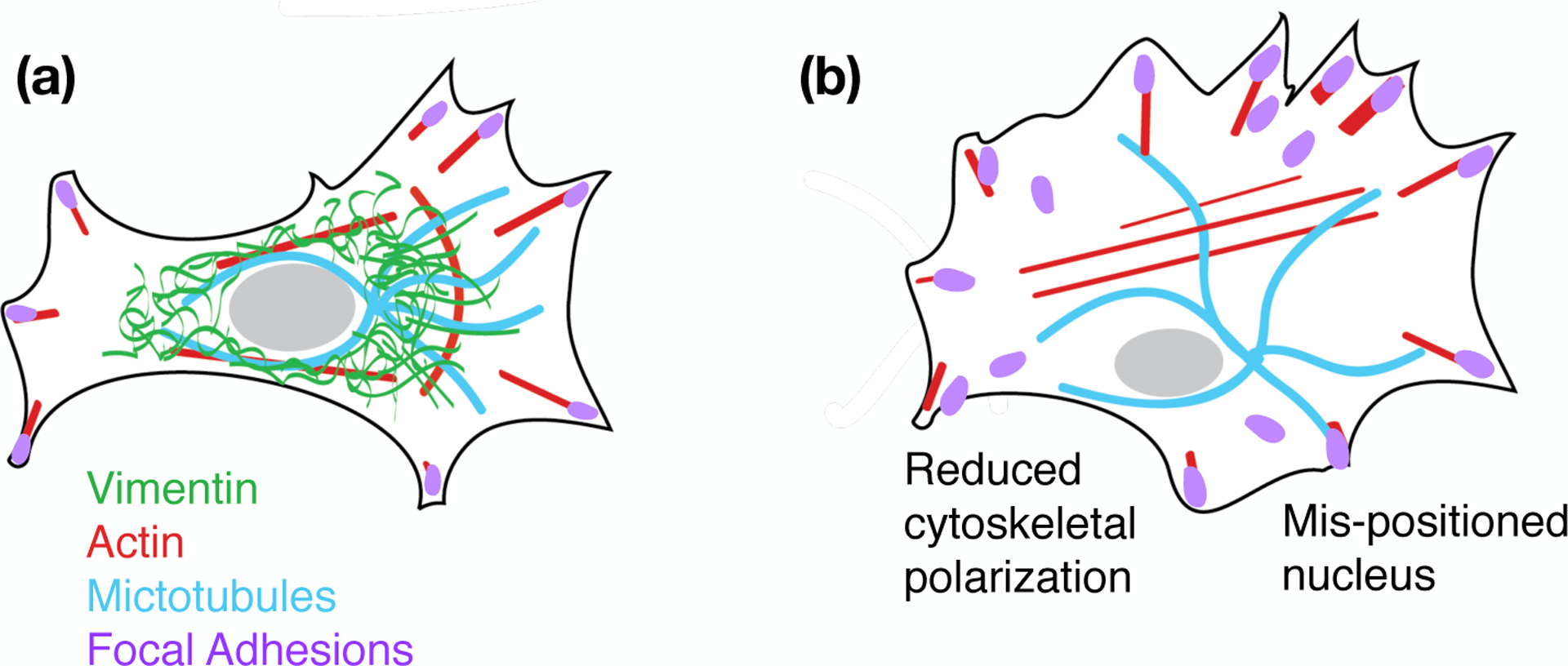 Figure 9.