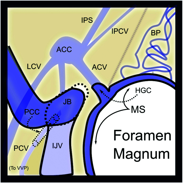 FIG 1.