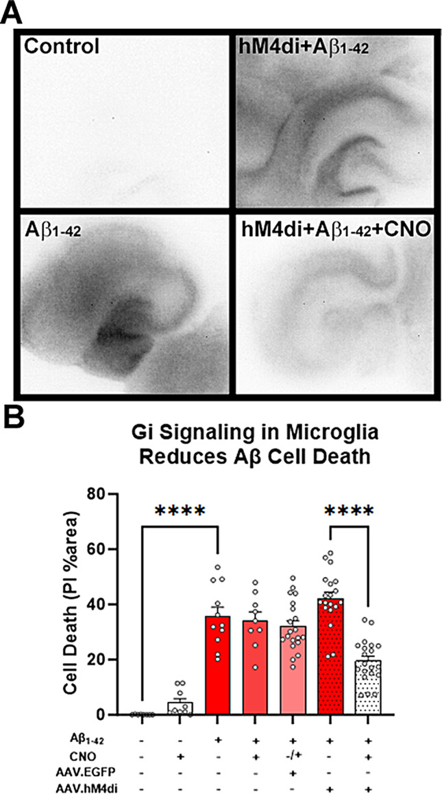 Fig. 4