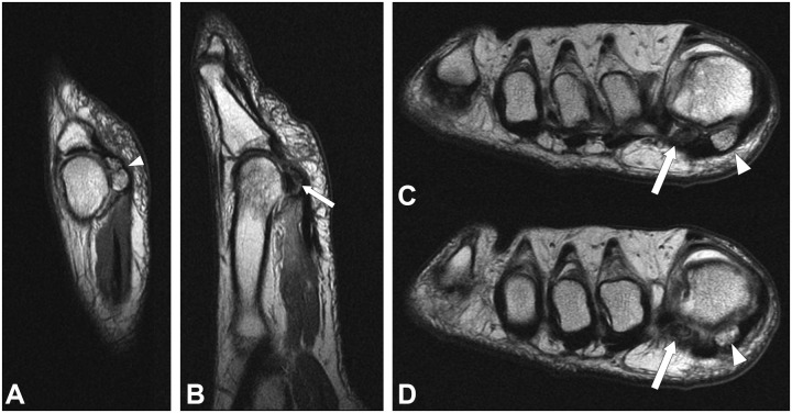 Figure 16.