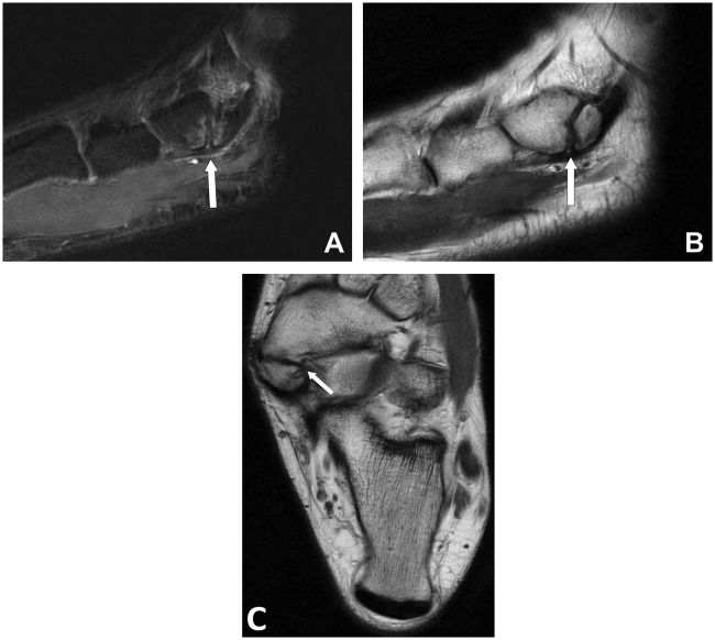 Figure 7.