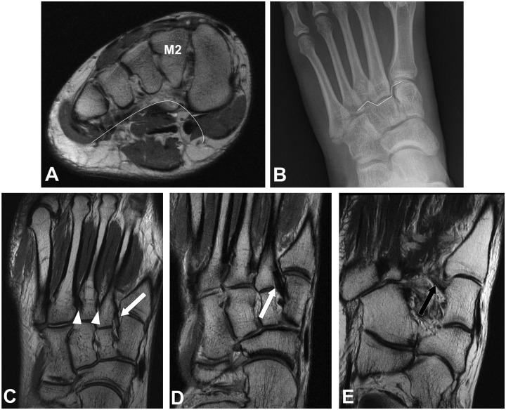 Figure 3.