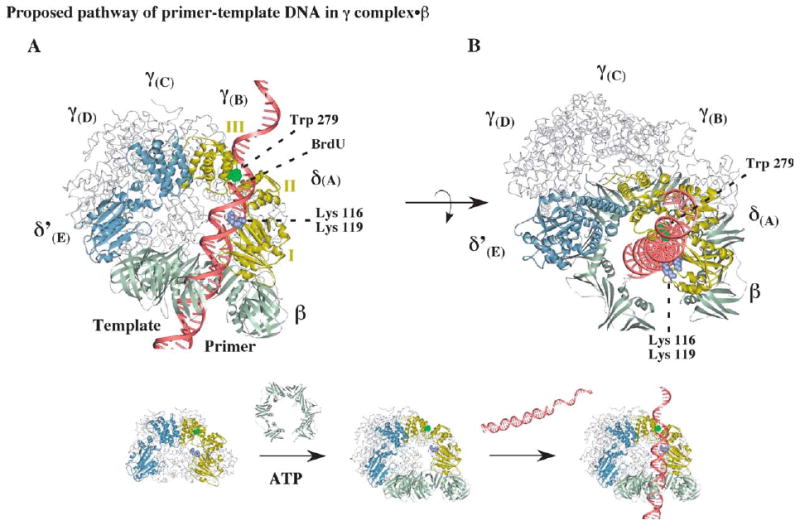 Figure 7