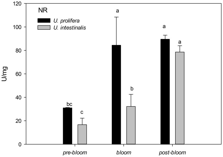 Figure 15