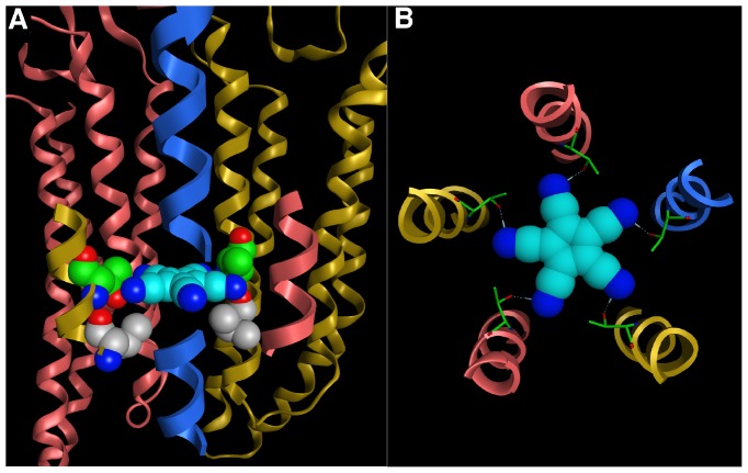 Figure 12