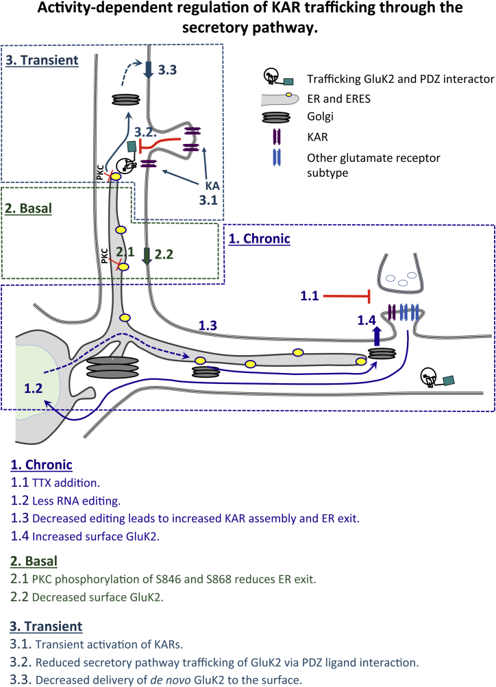 Figure 7