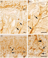 Fig.3
