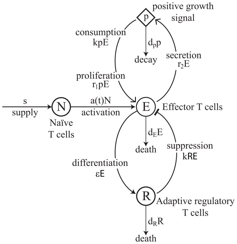 Figure 5.1