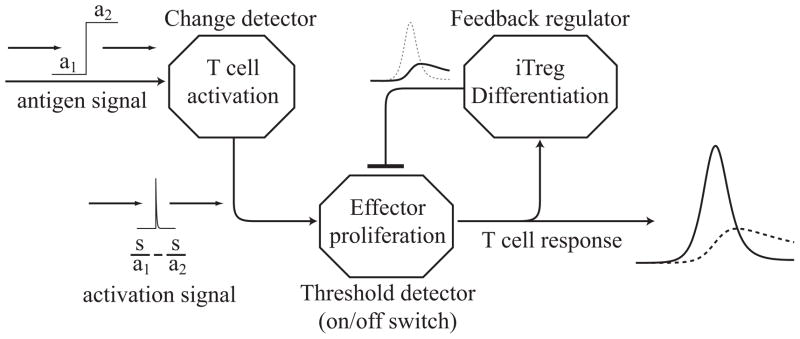 Figure 5.2