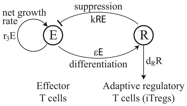 Figure 4.1