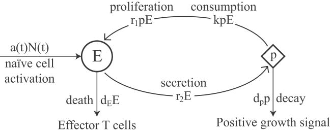 Figure 3.1