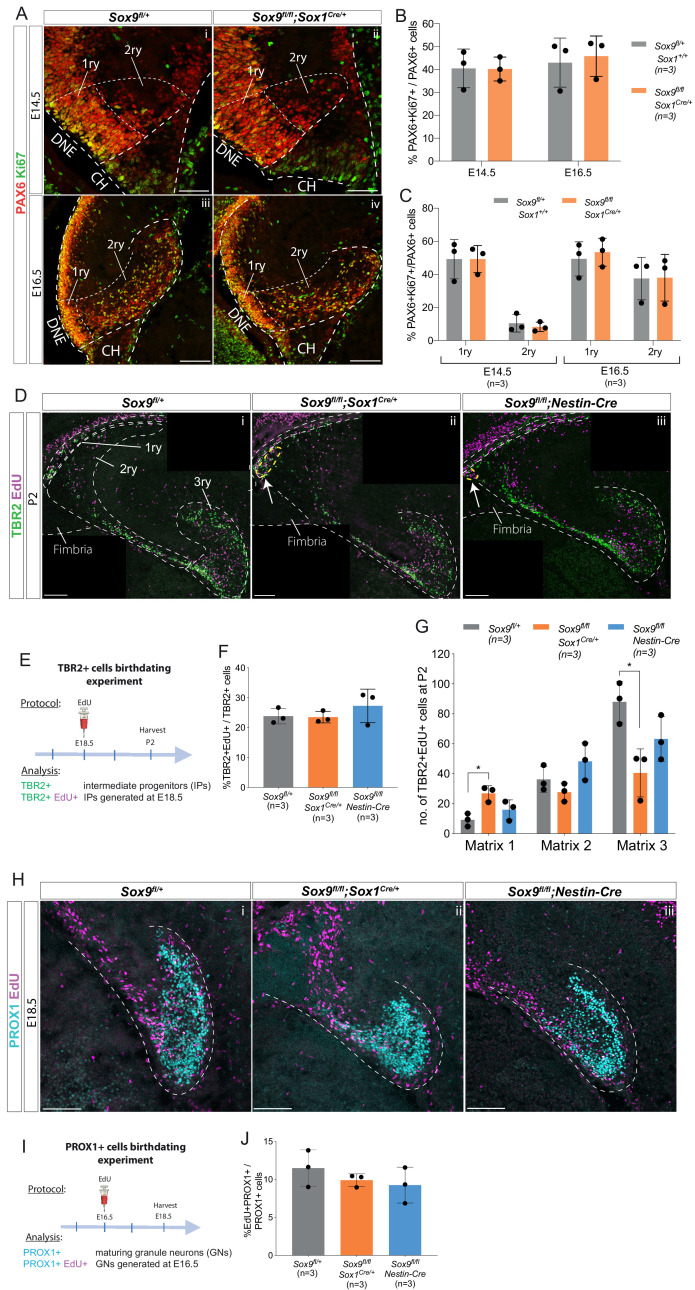 Figure 2—figure supplement 3.