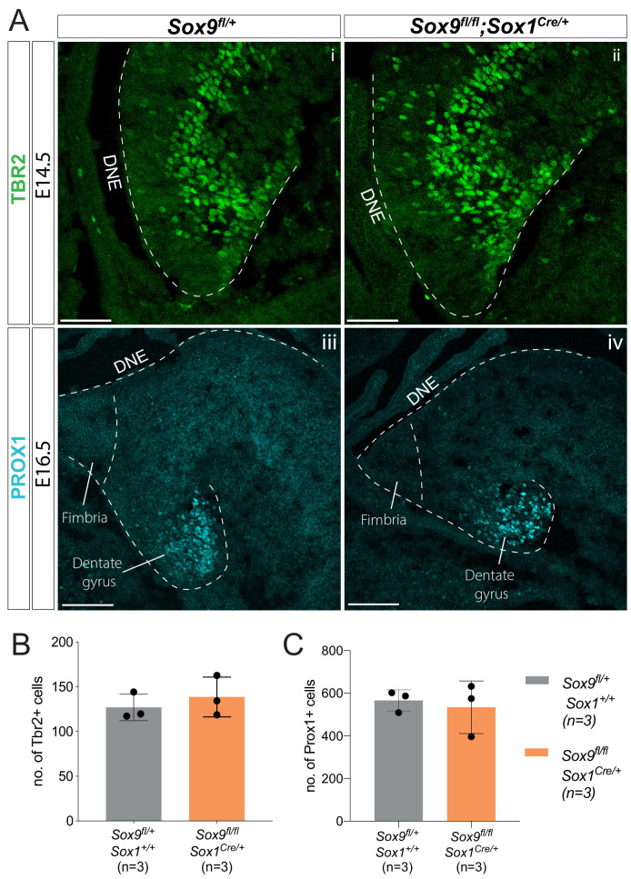 Figure 2—figure supplement 1.