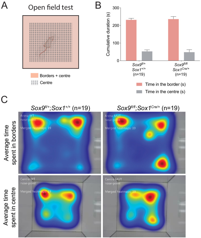 Figure 1—figure supplement 3.