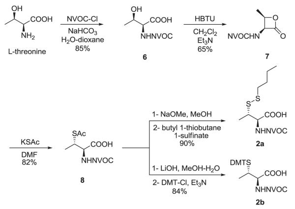 Scheme 2