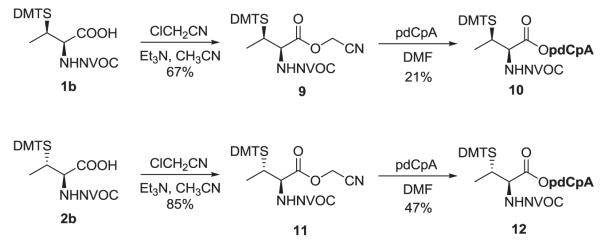 Scheme 3