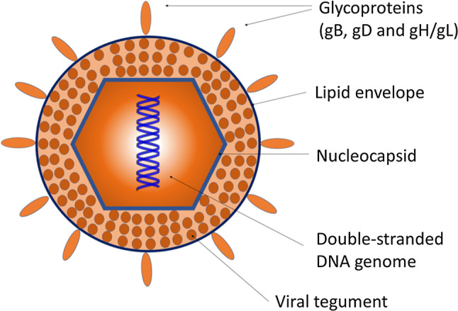 Fig. 1