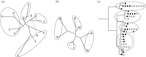 Figure 3.