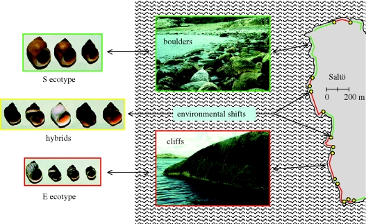 Figure 2.