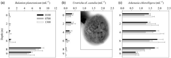 Fig. 2