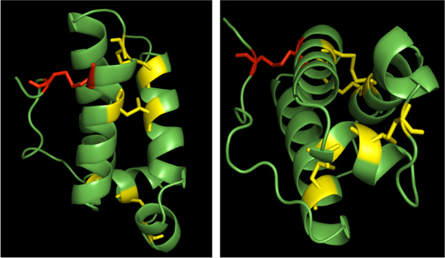 Fig. 9