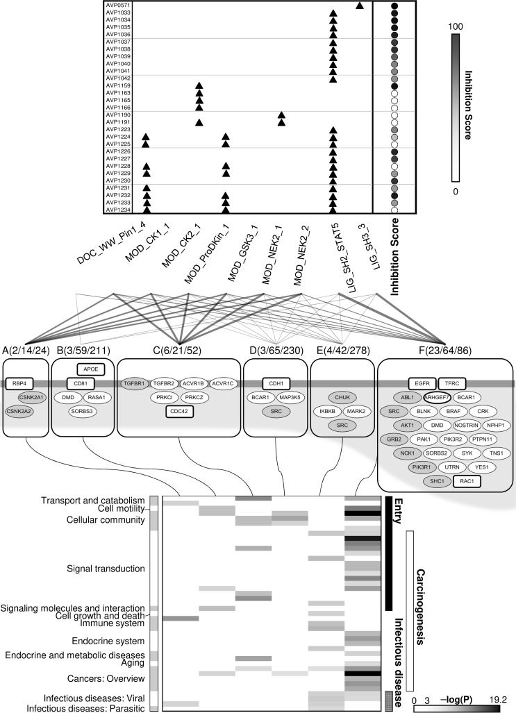 Fig 4