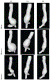 Fig. 9.