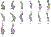 Fig. 5.