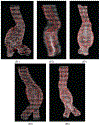 Fig. 8.
