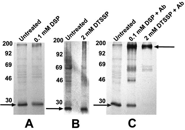 FIG. 6