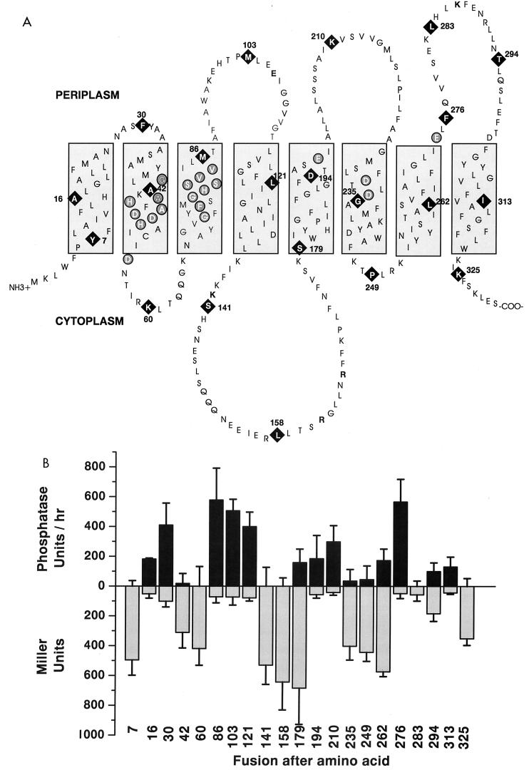 FIG. 5