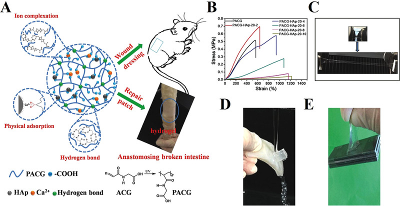 FIGURE 4