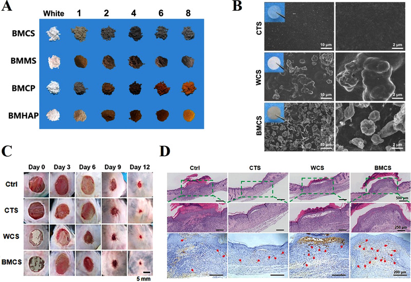 FIGURE 3