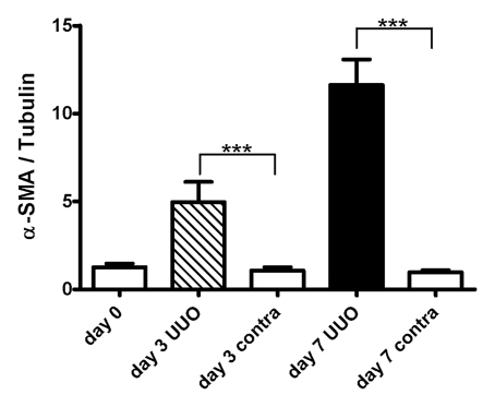 Figure 6b: