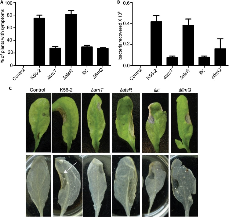 FIG 2 