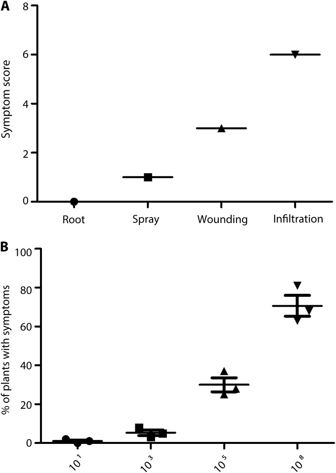 FIG 1 