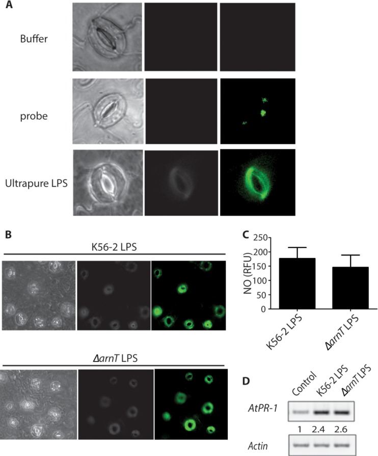 FIG 4 