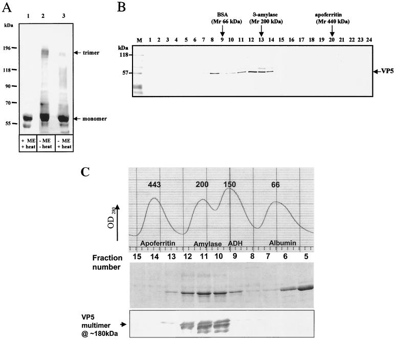 FIG. 8