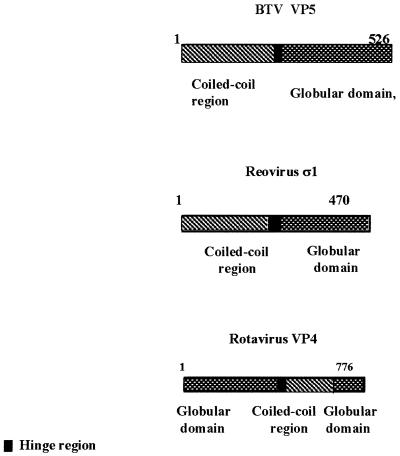 FIG. 9