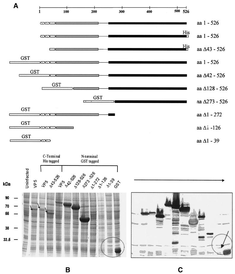 FIG. 6