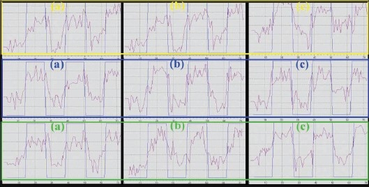 Figure 1b