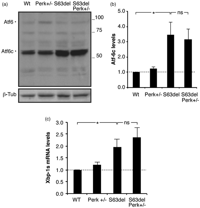 Figure 7.