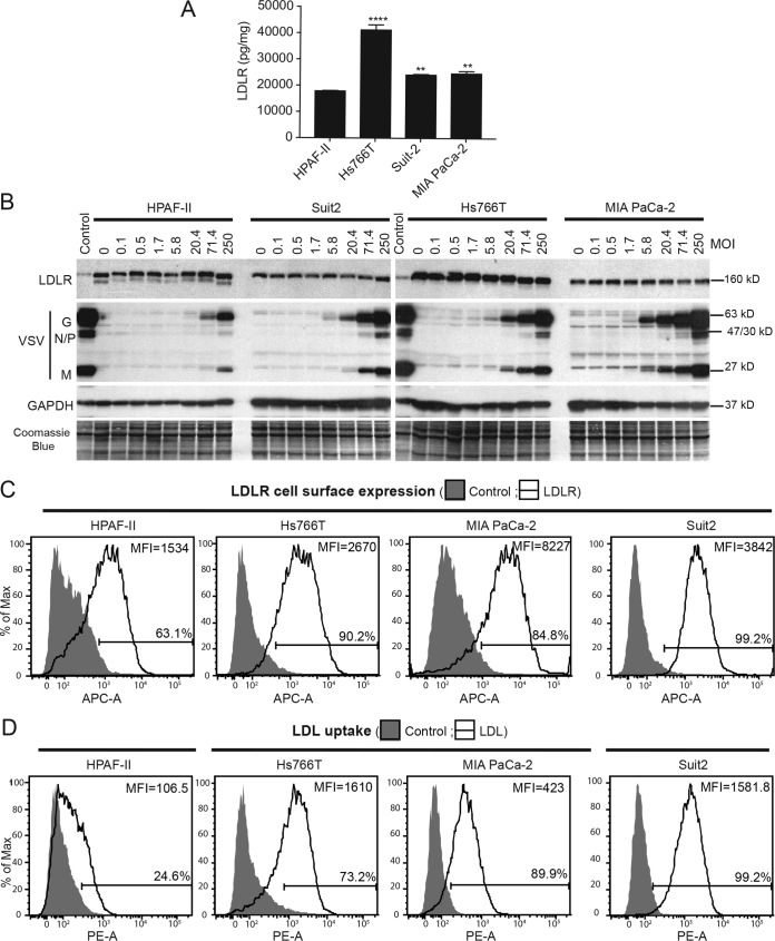 FIG 2