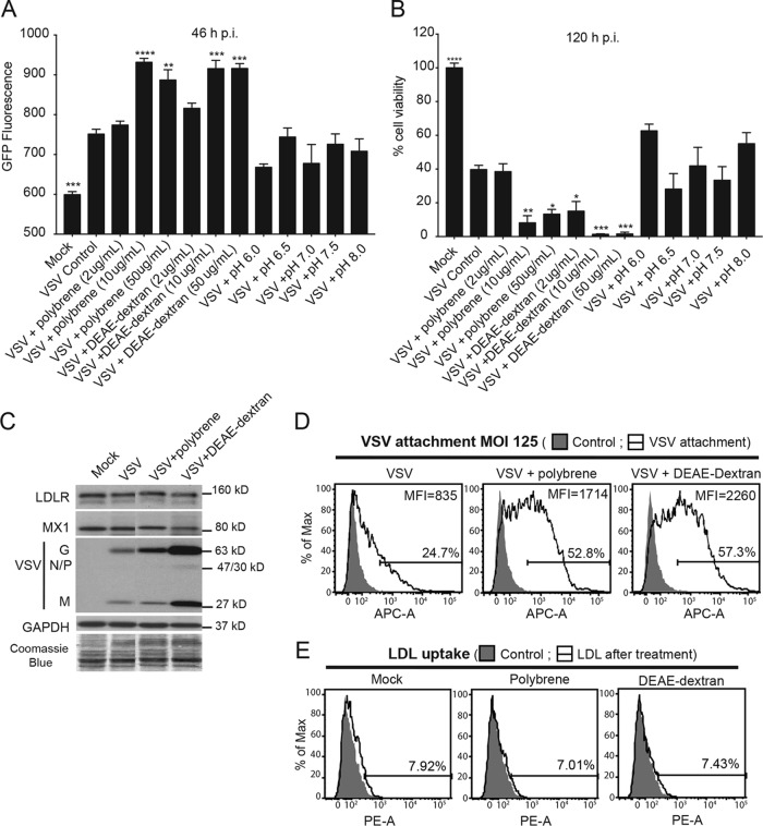 FIG 6