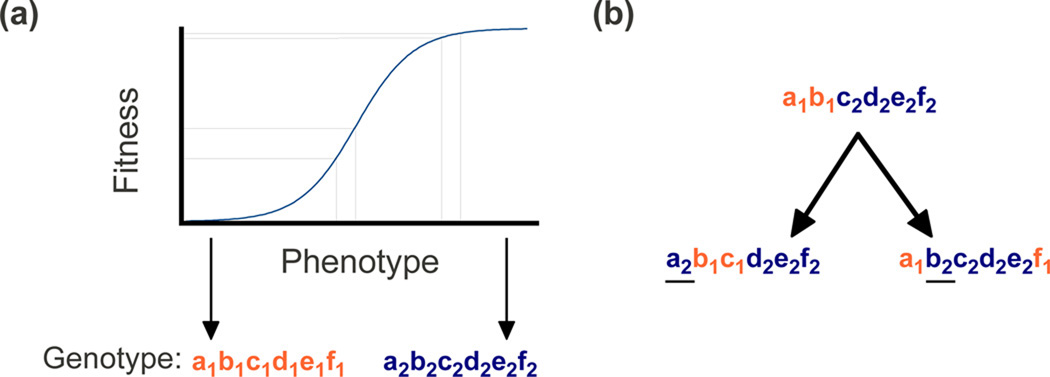 Box 2 Figure I